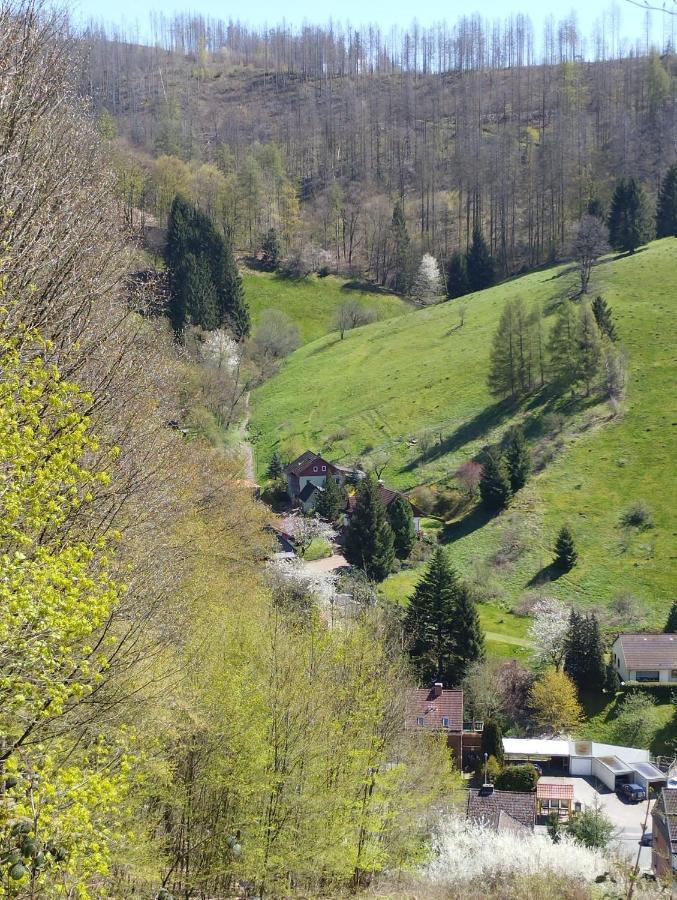 Olifant In Osterode Leilighet Osterode am Harz Eksteriør bilde
