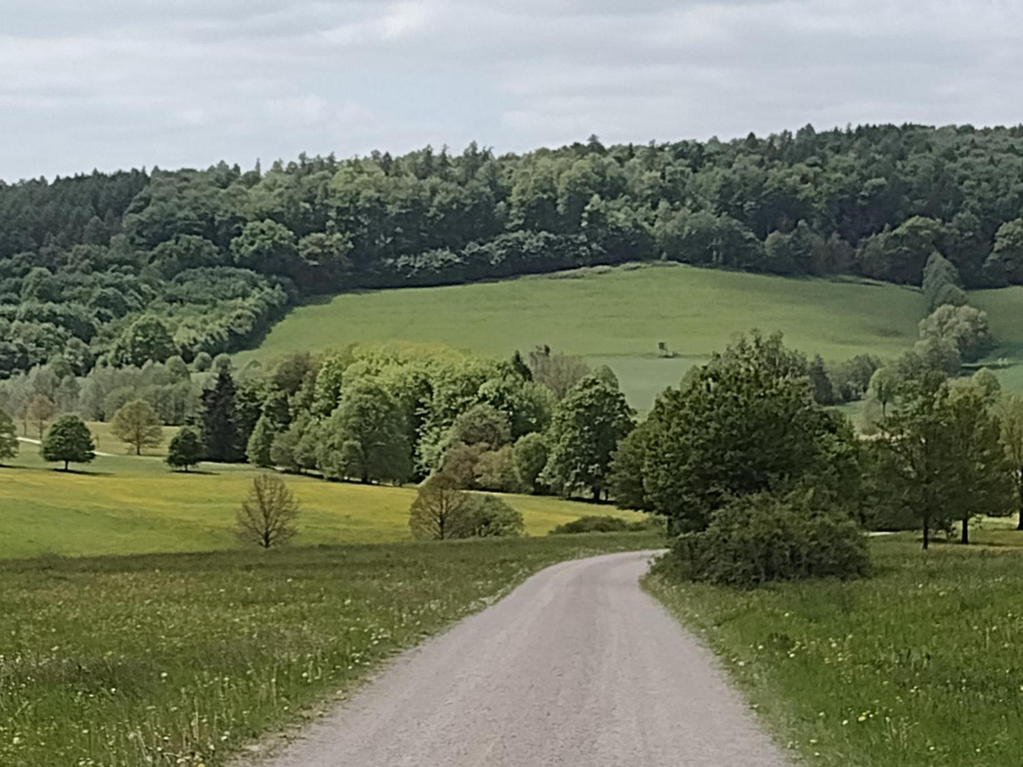 Olifant In Osterode Leilighet Osterode am Harz Eksteriør bilde